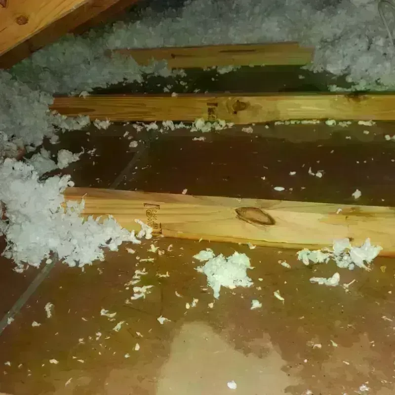 Attic Water Damage in Warrenton, NC